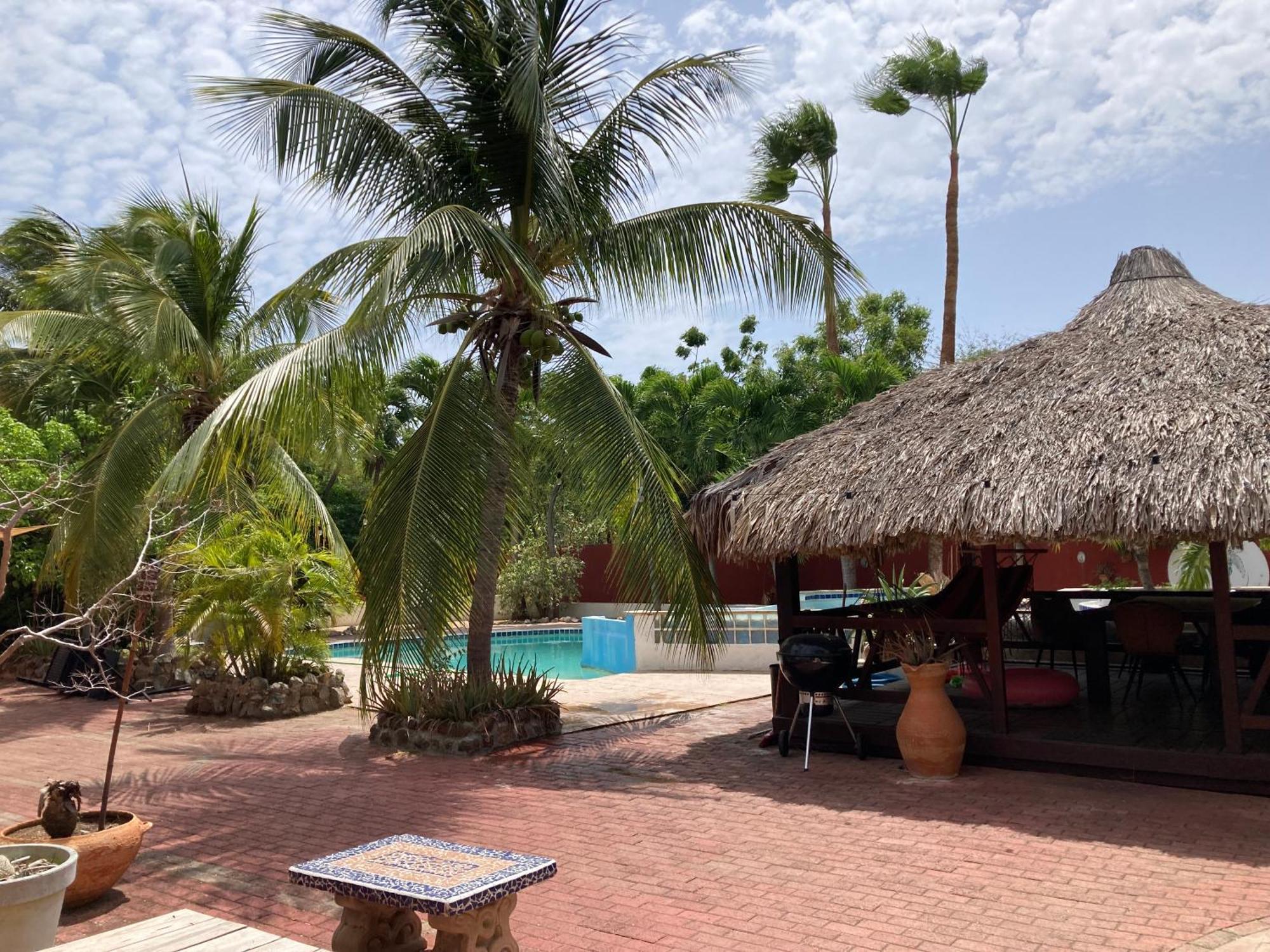 Woodstock Palmresort Curacao Willemstad Bagian luar foto